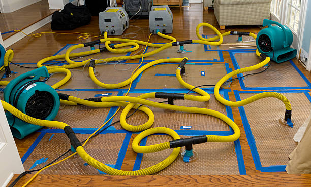 Professional Flood Damage Restoration technician working in Bradenton Beach, FL